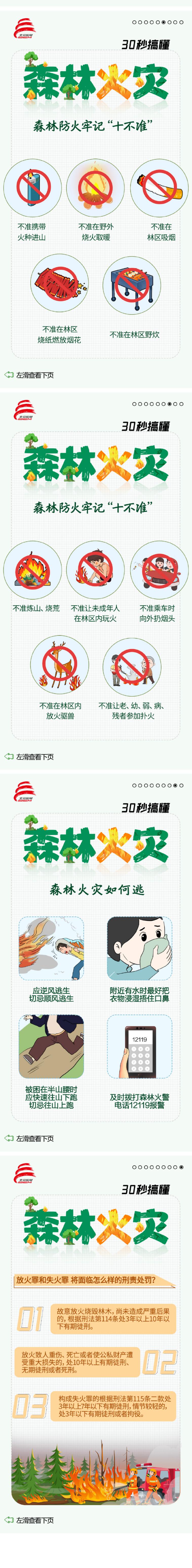 30秒搞懂什么是森林火灾