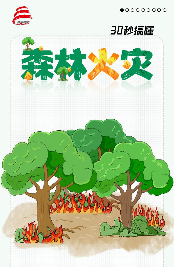 30秒搞懂什么是森林火灾