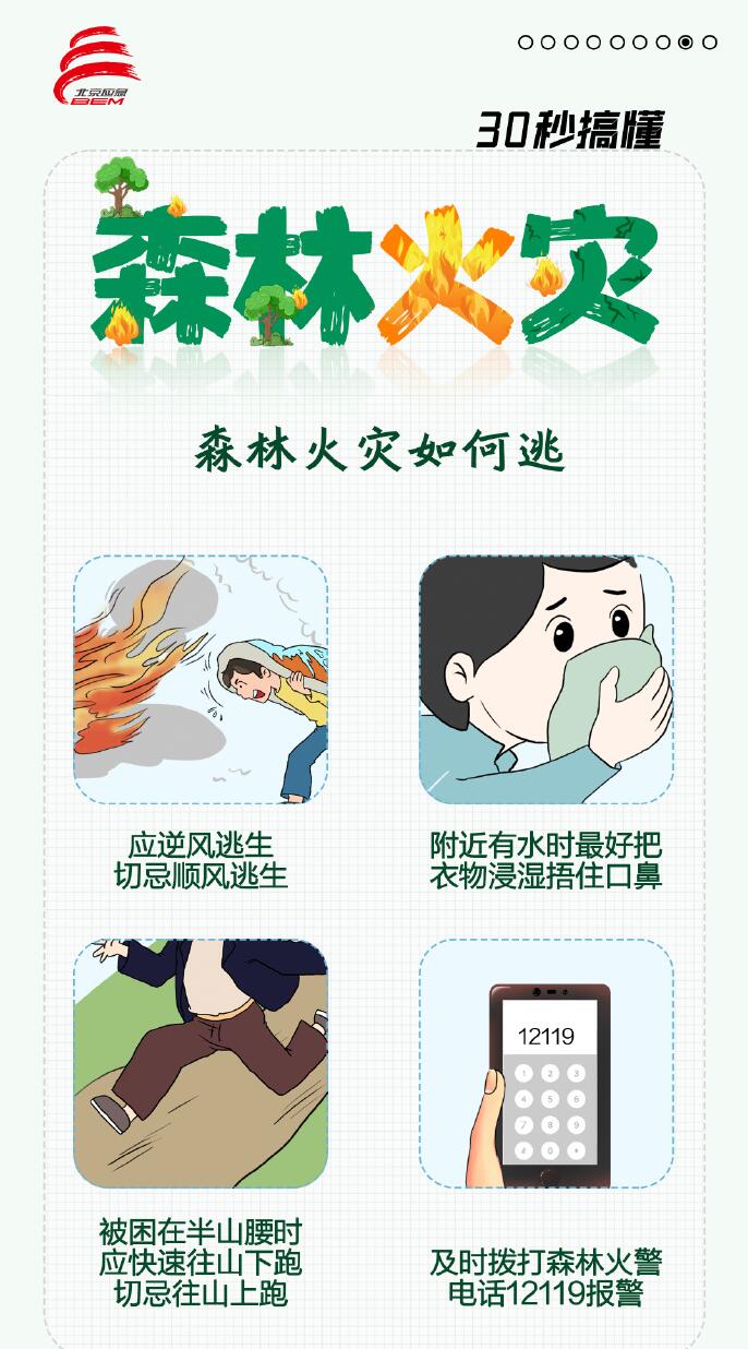 30秒搞懂什么是森林火灾