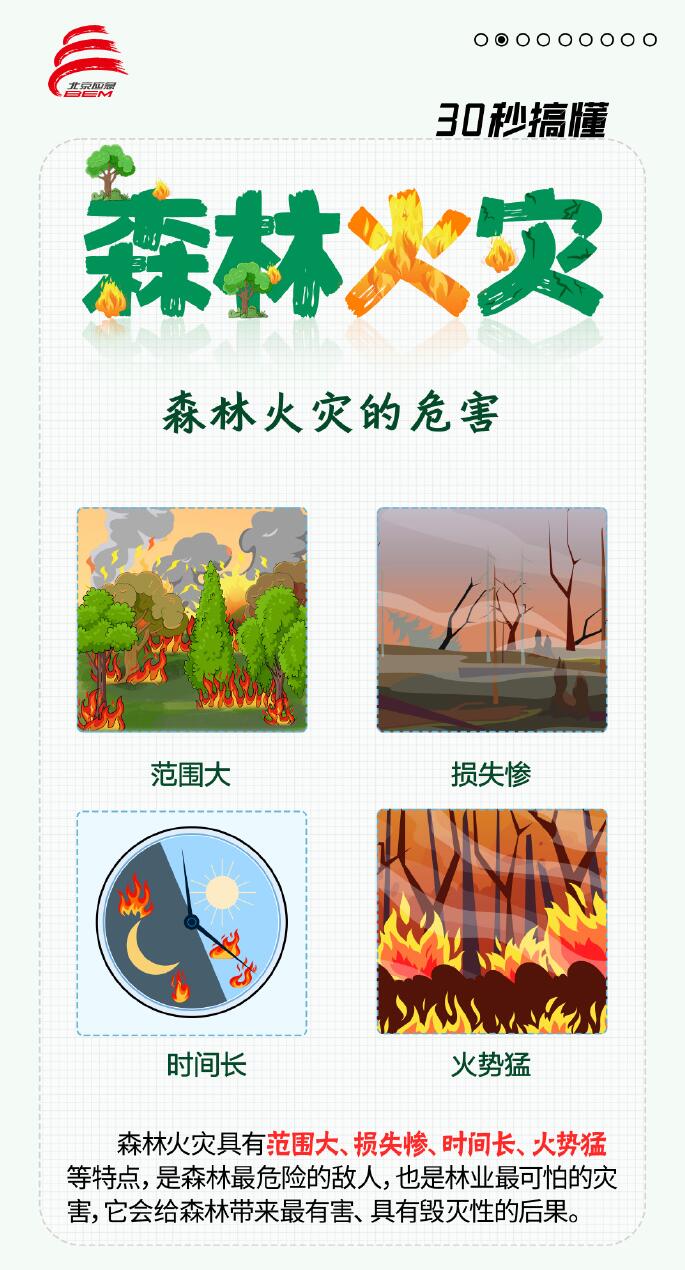 30秒搞懂什么是森林火灾