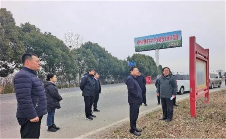 李鹏到邓州市巡林