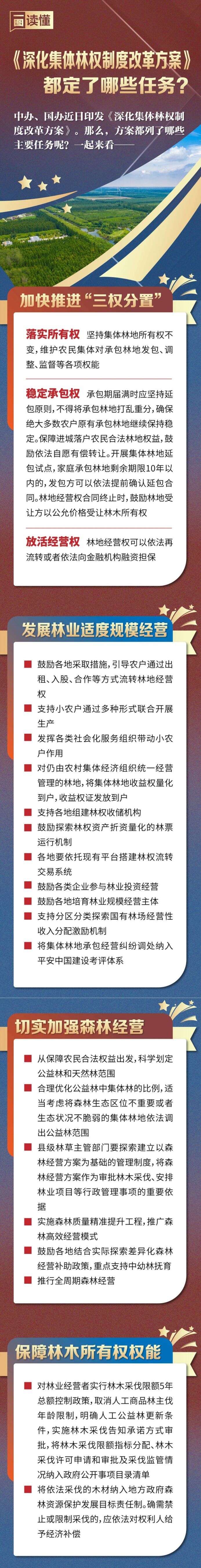 一图读懂｜《深化集体林权制度改革方案》都定了哪些任务？