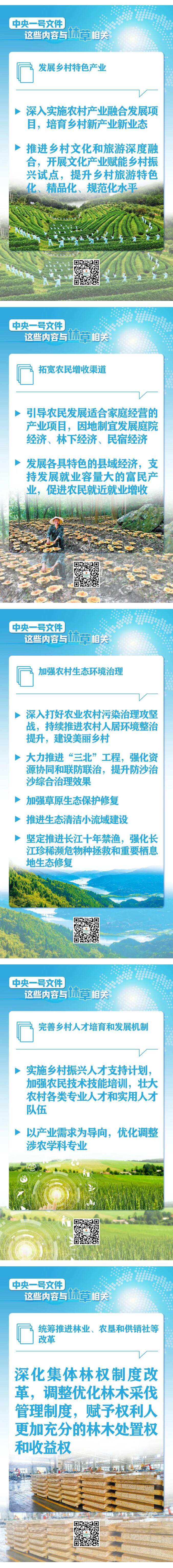 划重点！中央一号文件这些内容与林草相关