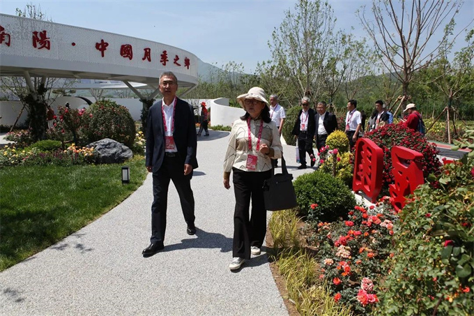 南阳月季展园及展品扮靓第九届国际月季大会